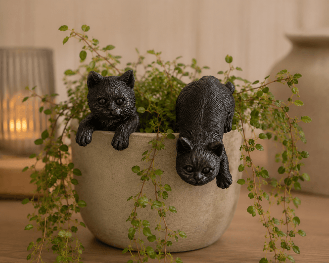 Hovedbilde Katt kant henge sort 9cm Ass.