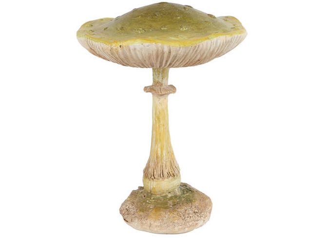 Hovedbilde Sopp grønn 10,5cm
