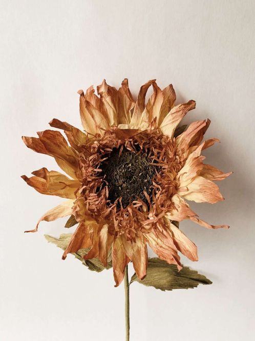 Hovedbilde Papirblomst solsikke h 70 cm gul