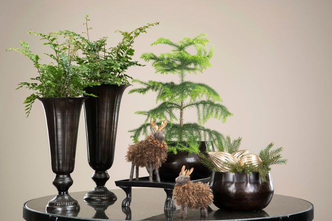 Hovedbilde Pokal Vase Antik Brun 36cm
