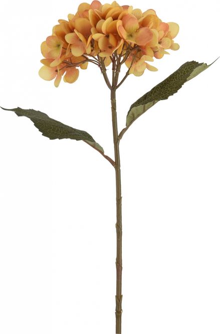 Hovedbilde Blomst Hortensia m/kvist H60 4 ass