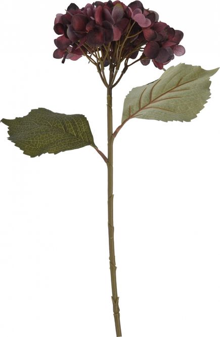 Hovedbilde Blomst Hortensia m/kvist H60 4 ass