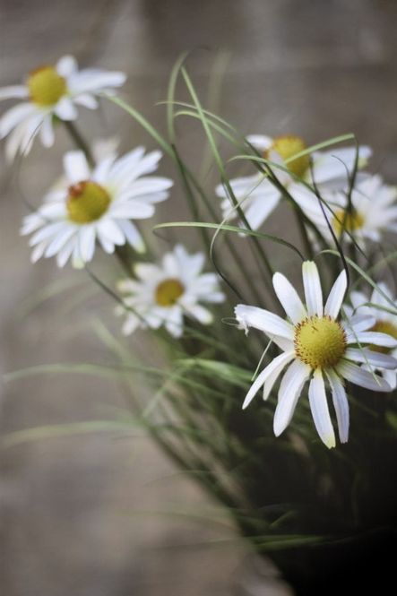 Hovedbilde Strå Solhatt 61 cm hvit