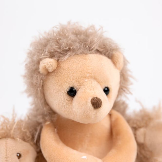 Hovedbilde Pinnsvinmamma med tvillinger