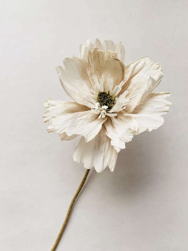 Papirblomst valmue dobbel 30 cm hvit