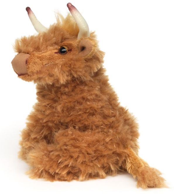 Hovedbilde Sittende skotsk Highland cow