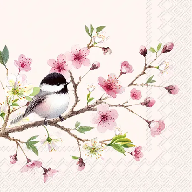 Hovedbilde Servietter Little Birdie Light Rose Kaffe